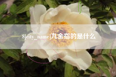 龙海九金指的是什么