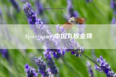 龙海中国九枚金牌
