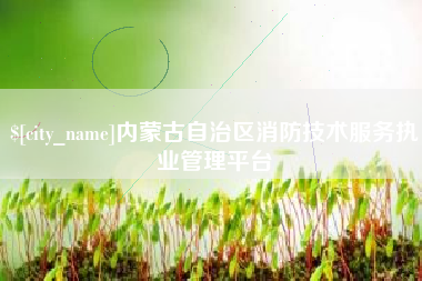 龙海内蒙古自治区消防技术服务执业管理平台