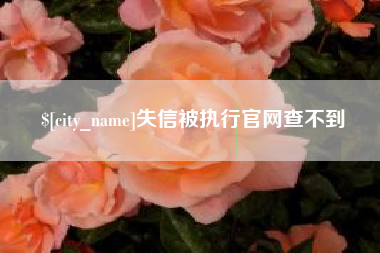 龙海失信被执行官网查不到