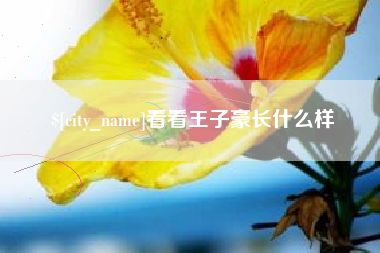 龙海看看王子豪长什么样