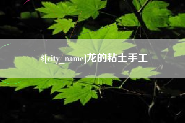 龙海龙的粘土手工