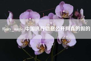 龙海中国执行信息公开网真的假的