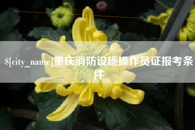 龙海重庆消防设施操作员证报考条件