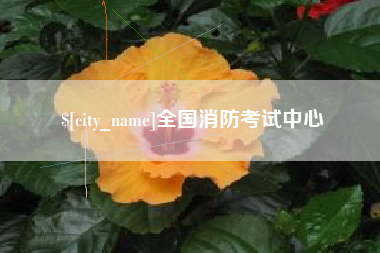 龙海全国消防考试中心