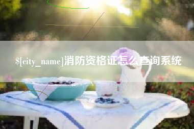 龙海消防资格证怎么查询系统