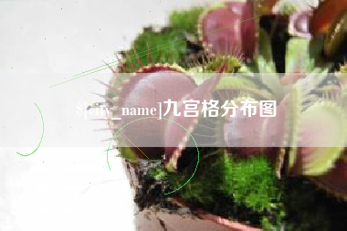 龙海九宫格分布图