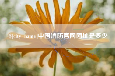 龙海中国消防官网网址是多少