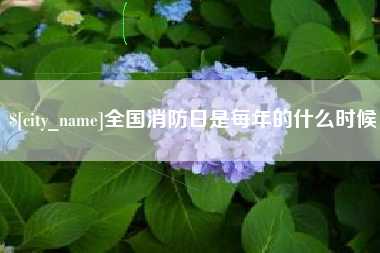 龙海全国消防日是每年的什么时候