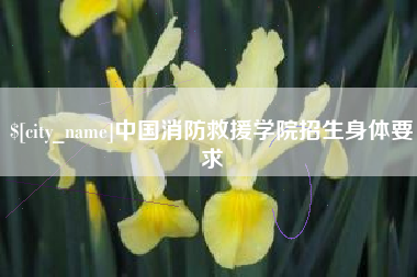 龙海中国消防救援学院招生身体要求