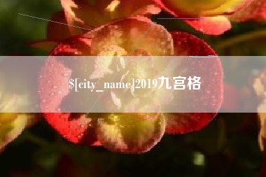 龙海2019九宫格