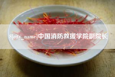 龙海中国消防救援学院副院长
