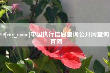 龙海中国执行信息查询公开网查询官网