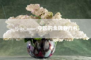 龙海中国的金牌有几名