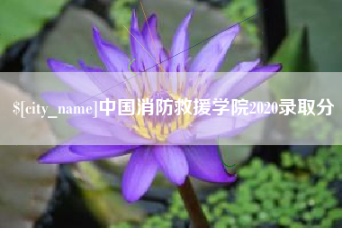 龙海中国消防救援学院2020录取分
