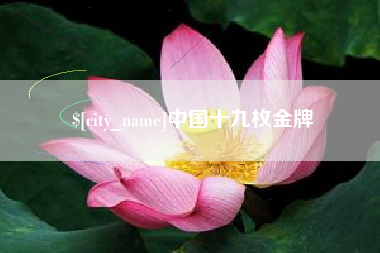 龙海中国十九枚金牌