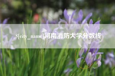 龙海河南消防大学分数线