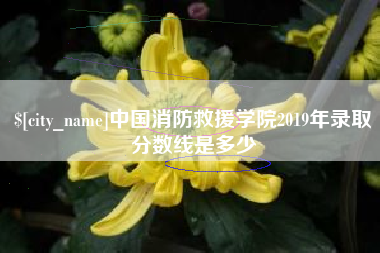 龙海中国消防救援学院2019年录取分数线是多少