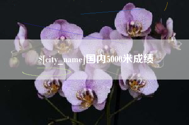 龙海国内5000米成绩
