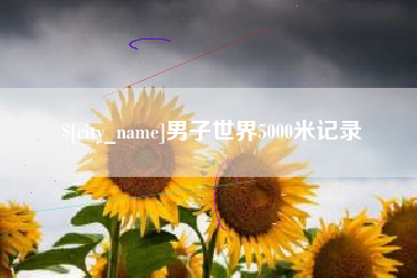 龙海男子世界5000米记录