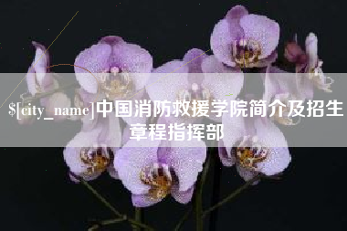 龙海中国消防救援学院简介及招生章程指挥部