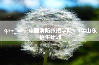 龙海中国消防救援学院2021年山东招生计划
