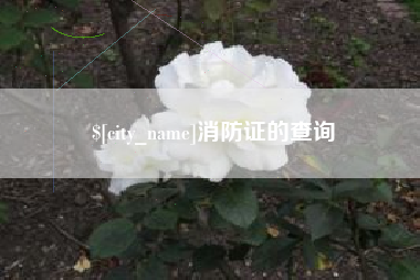 龙海消防证的查询