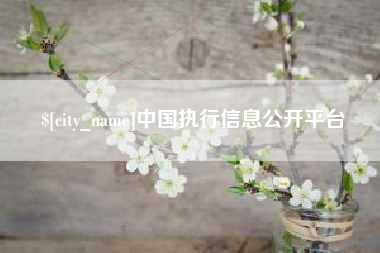 龙海中国执行信息公开平台