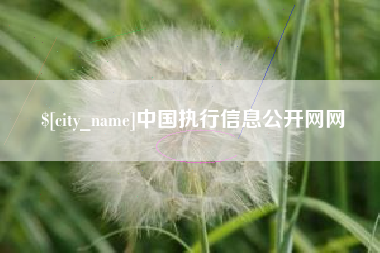 龙海中国执行信息公开网网