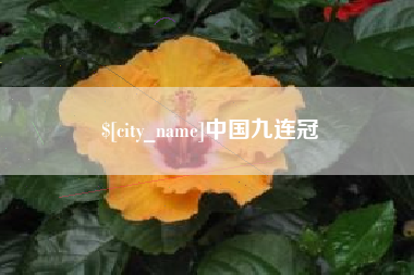 龙海中国九连冠
