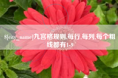 龙海九宫格规则,每行,每列,每个粗线都有1-9