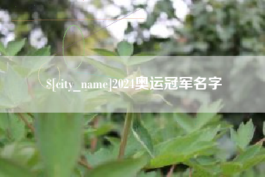 龙海2024奥运冠军名字