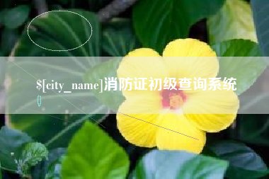龙海消防证初级查询系统