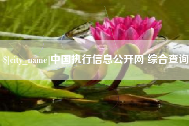 龙海中国执行信息公开网 综合查询