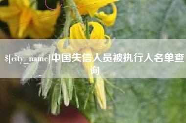 龙海中国失信人员被执行人名单查询