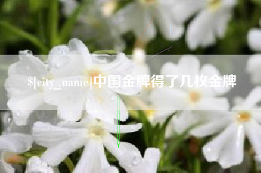龙海中国金牌得了几枚金牌