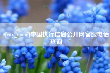 龙海中国执行信息公开网客服电话查询