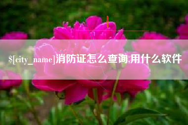 龙海消防证怎么查询,用什么软件