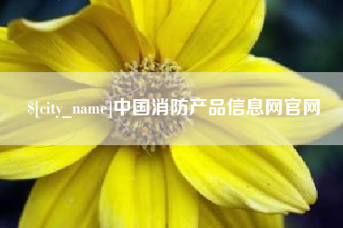 龙海中国消防产品信息网官网