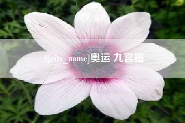 龙海奥运 九宫格
