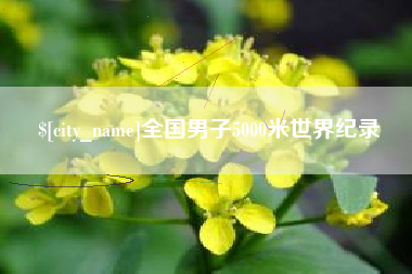 龙海全国男子5000米世界纪录