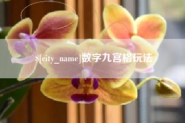 龙海数字九宫格玩法