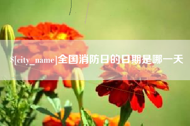 龙海全国消防日的日期是哪一天