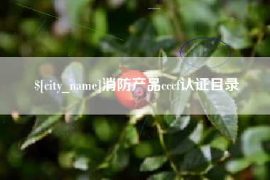 龙海消防产品cccf认证目录