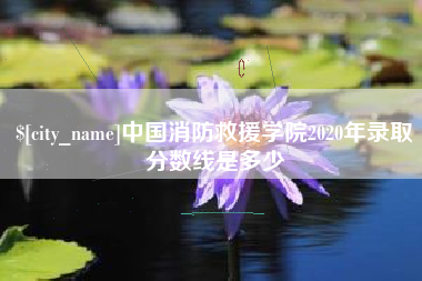 龙海中国消防救援学院2020年录取分数线是多少