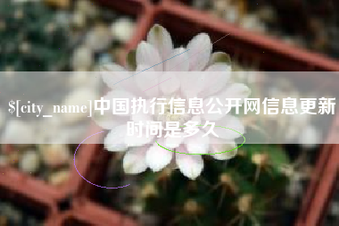 龙海中国执行信息公开网信息更新时间是多久