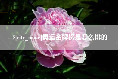 龙海奥运金牌榜是怎么排的