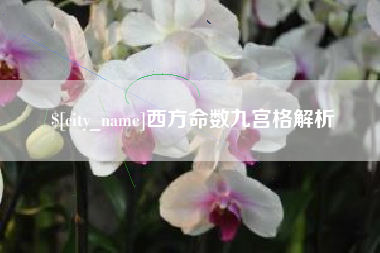 龙海西方命数九宫格解析