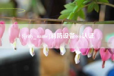 龙海消防设备ccc认证