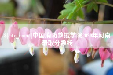 龙海中国消防救援学院2020年河南录取分数线